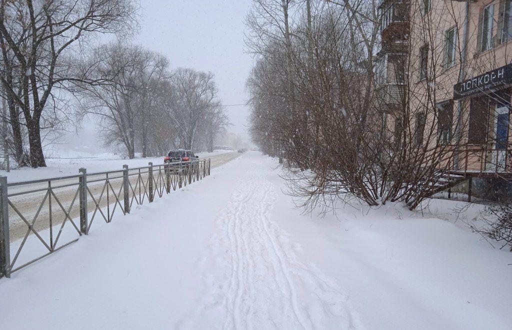 Андрей Шохин прокомментировал снежный коллапс | Довод